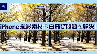 Vook 白飛び解決記事 (23/04/19)
